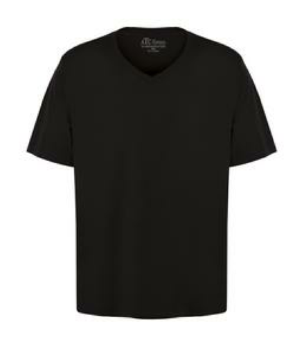 Authentic T-Shirt Company ATC8001