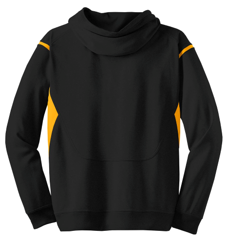 ATC™ PTech™ Fleece VarCITY Hooded Sweatshirt back Thumb Image