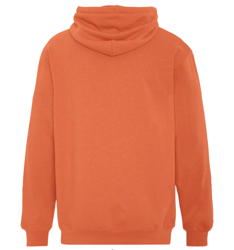 ATC™ EARTH WASH™ TOURBILLON FLEECE HOODED SWEATSHIRT back Thumb Image