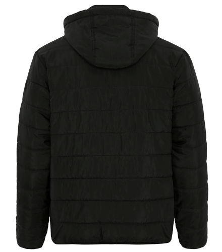 DRYFRAME® ESSENTIAL HOODED INSULATED JACKET back Thumb Image