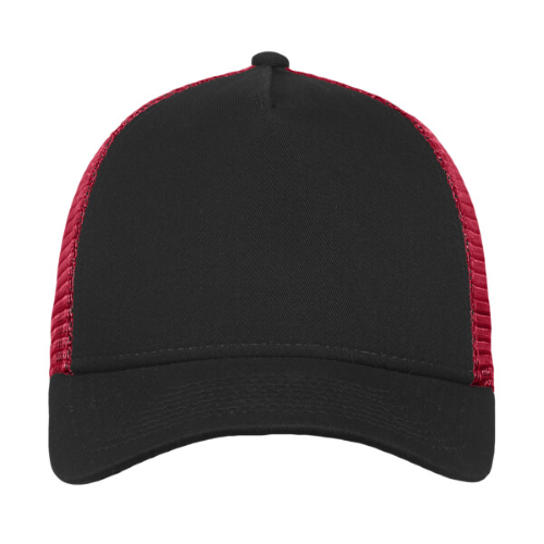 New Era NE205